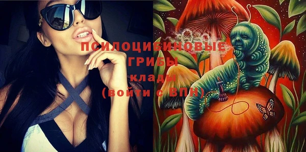 первитин Карпинск